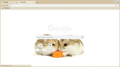 I_Like_Hamsters<3