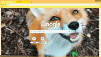 cute fox theme