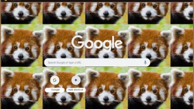 cute red panda