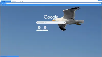 Gull Theme