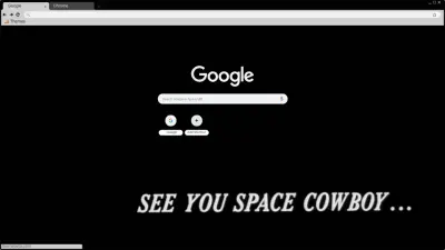 Space Cowboy