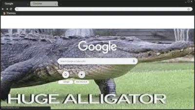 HUGE ALLIGATOR