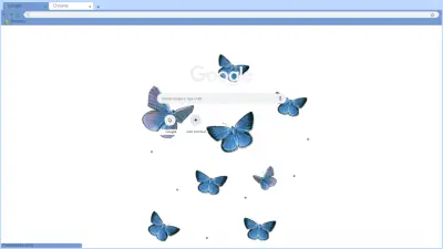 blue butterfly