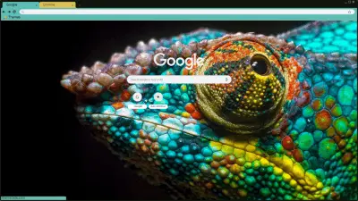 colorfull chameleon