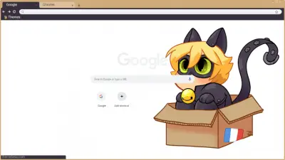 Cat noir in a box