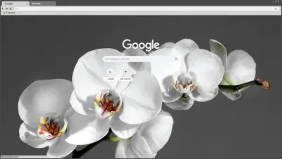 Orchid minimalistic