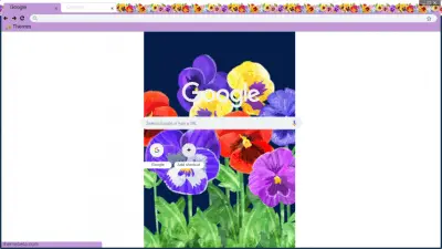 Pansies