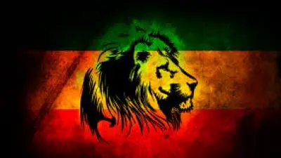 Rasta Lion