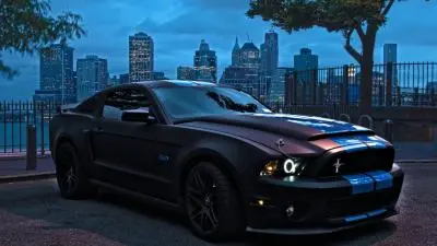 Mustang