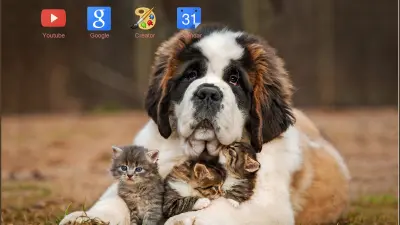 Saint Bernard + Kittens