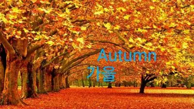 Korea_Autumn_HD_Wallpaper