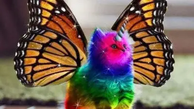 Rainbow butterfly unikitty